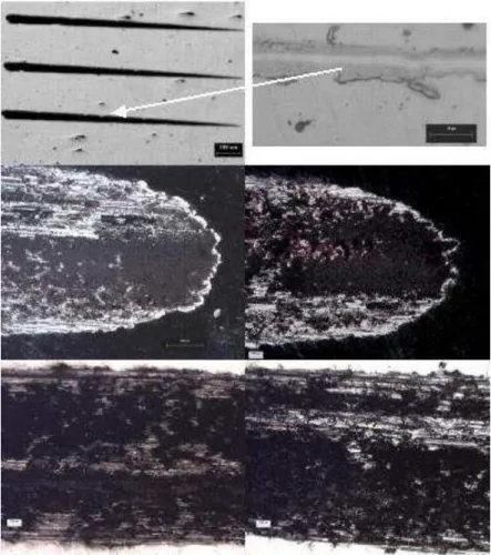 Figure 6: Tribology test [11]: (a) sample A optical microscopy, general view of scratches, (b) enlarged region – scratch  center – sample A (c) SEM – end region – sample A, (d) SEM – sample B, (e) SEM – central region – sample A, (f) SEM  – central region 