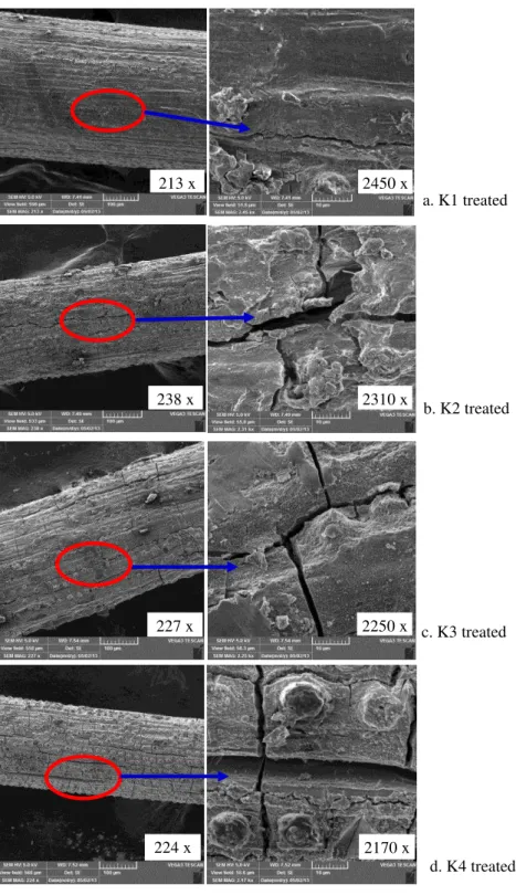 Figure 2: Surface morphology of coconut fiber with the second treatment 