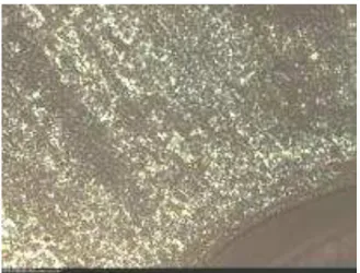 Figure 6 : Microstructure at 30 ° C  for LLDPE   cooled at  of 5 °C/min. 