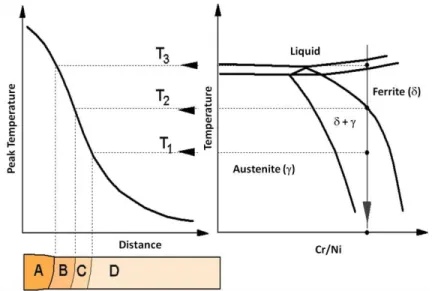 Figure 1: Schematic representation of the weld constitution of a duplex stainless steels