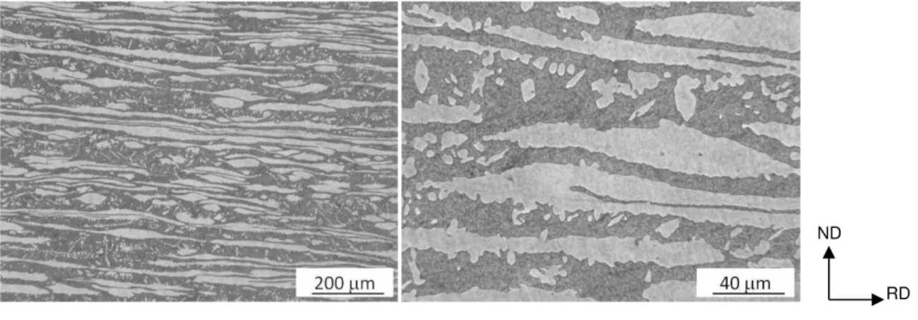 Figure  5:  Optical  metallography  of  the  base  metal:  austenite  (light)  and  ferrite  (dark)