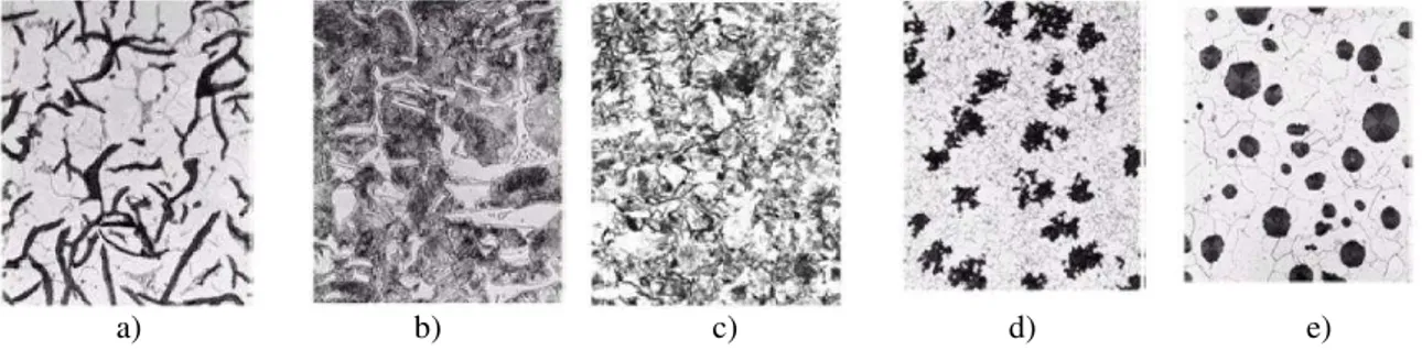 Figura 1: Amostras de Ferros Fundidos: a) cinzento; b) branco; c) mesclado; d) maleável; e) nodular [6]