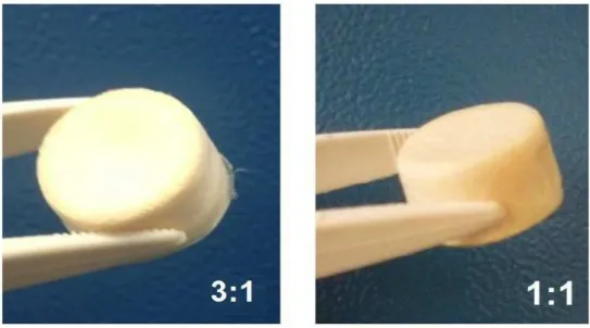 Figure 1: Structure of 3:1 and 1:1 scaffold successfully obtained with homogeneous and regular physical structure with- with-out cracks
