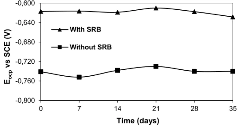 Figure 4: Variation of the E ocp  with the duration of immersion of the steel sample in the culture media with and without  SRB
