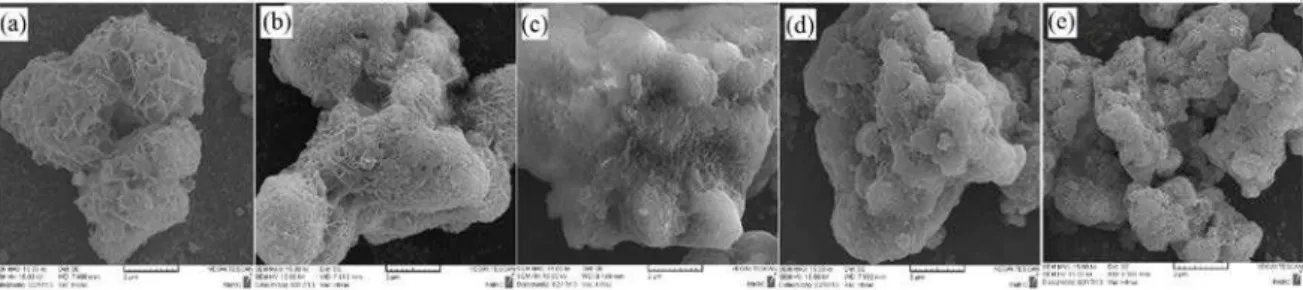 Figure 5: SEM micrographs of aggregates of products (a) undoped HAp, (b) 2ZH, (c) 4ZH, (d) 6ZH, (e) 8ZH nano  powders 