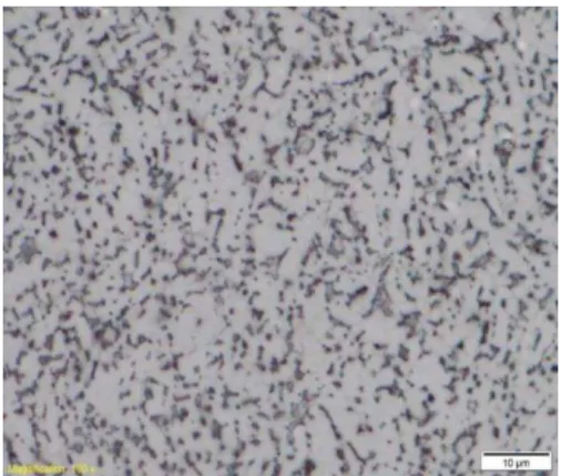 Figura 1: Micrografía óptica de la aleación Ti6Al4V a 2000X atacada con solución Kroll