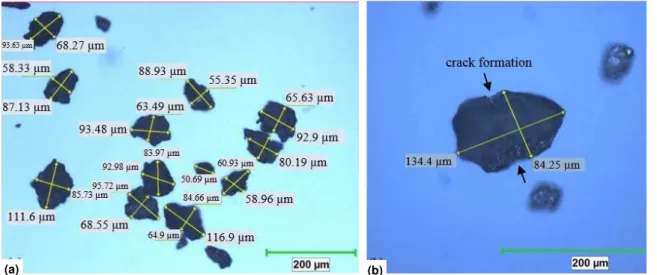 Figure 5: Optical microscope images of AA6013 powder produced by cryogenic mill a)Powders of different sizes  b)Crack formation