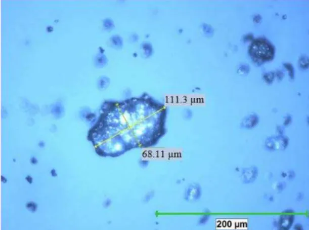 Figure 7: Optical microscope images of AA6013 powder produced by ball mill. 