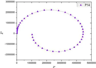 Figura 9: Curva de Nyquist: Pruebas P14 
