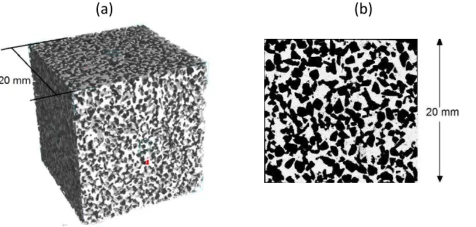 Figure 1: Sample with 0.5 mm pore size: (a)  3D reconstruct using Mimics ® Materialise (b) Sample from SEM 