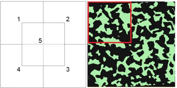 Figure 3: Sample segmentation foam with 2.0 mm cell size. 