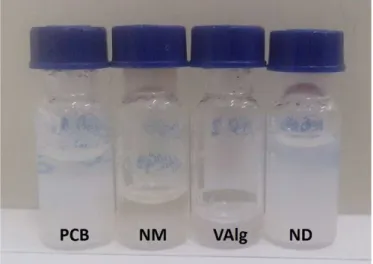 Figura  1: Suspensões de CNCs de pseudocaule de banabeira (PCB), manga (NM), vagem de algaroba (VAlg) e dendê  (ND), obtidas após hidrólise ácida