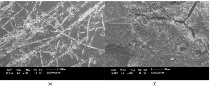 Figure  7: SEM micrographs of composites: (a) unexposed vinylester composite; (b) unexposed phenolic composite; (c)  vinylester composite exposed to 480 UV/water spray cycles; (d) phenolic composite exposed to 480 UV/water spray  cycles; (e) vinylester com