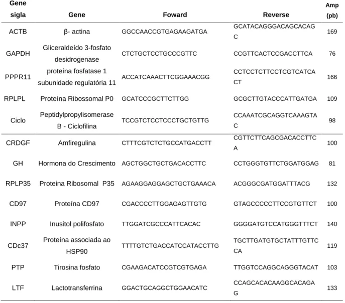Tabela  2.1:  Primers  utilizados  na  validação  dos  microarrays  através  de  PCR  em Tempo Real (housekeeping e genes estudados)