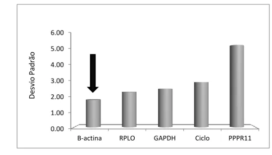 Figura  2.2:  Desvio  Padrão  dos  genes  testados  para  a  escolha  do  houseskeeping  (β-actina,  Proteína  Ribossomal  L0  –  RPL0,  Gliceraldeído  3-fosfato  desidrogenase – GAPDH, Ciclofilina – Ciclo, PPR11)