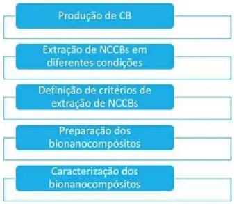 Figura 1: Procedimentos metodológicos. 