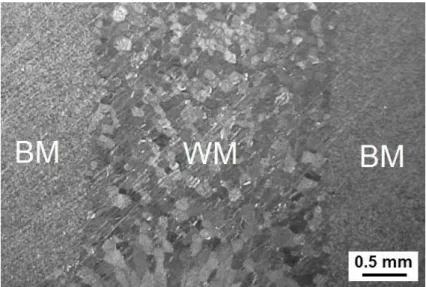 Figure 6: Macrostructure of welded joint. WM = Weld Metal; BM = Base Metal. 
