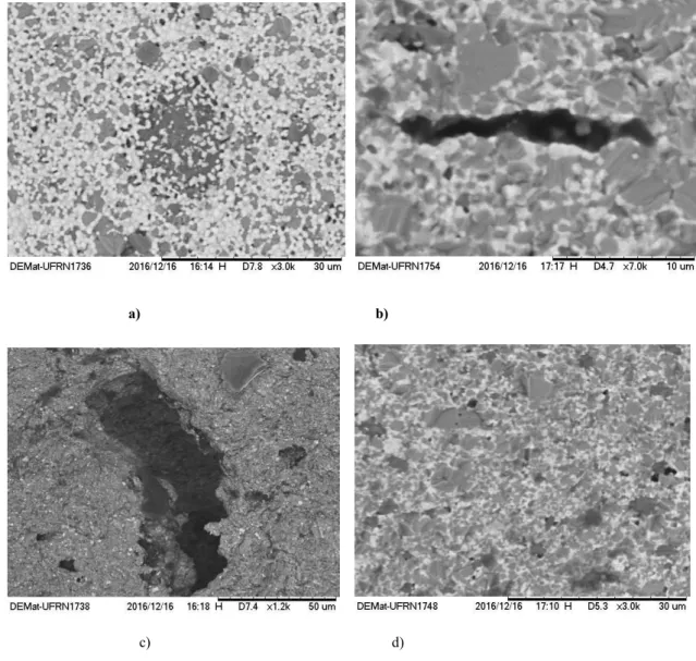 Figure 5: MEV of the sheets  (a) green  and  (b,c,d) sintered. 