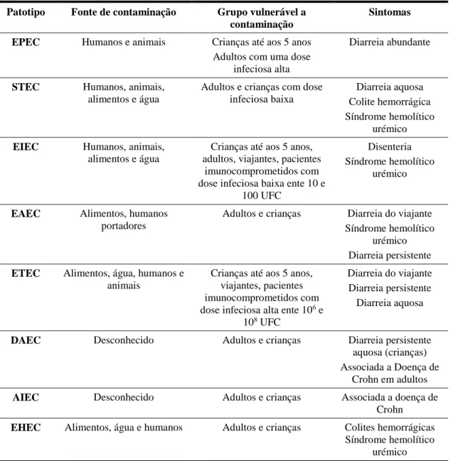 Tabela 1.2. - Fontes de contaminação das diferentes estirpes de E. coli e respetivos grupos vulneráveis  a contaminação e sintomas (Adaptado de Fauci et al., 2008; Croxen et al., 2013) 