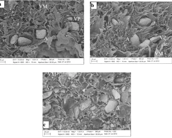 Figura 5: Micrografia dos compósitos PEAD/concha a) 95:5; b) 90:10 e c) 80:20. 