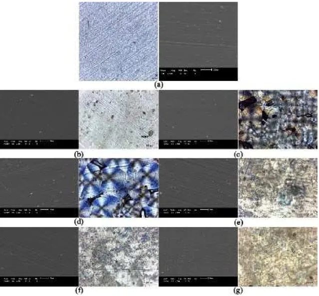 Figure  5:  Optical  micrographs  (20X)  and  SEM  (500X)  for PHBV  pure  and  for  bionanocomposites:  a)  PHBV  pure;  b)  PHBV + VMT 1 %; c) PHBV + VMT 3 %; d) PHBV + VMT 6 %; e) PHBV + VMTO 1 %; f) PHBV + VMTO 3 %; g)  PHBV + VMTO 6 %