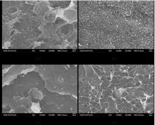 Figure 1: FEG micrographs of (a)N05S, (b) N05F, (c) G05S, (d) G05F nanocomposites.  