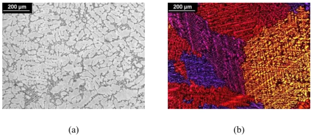 Figure  3  shows  the  micrographs  of  the  A356  alloy  (commercial),  it  is  observed  that  the  alloy  has  primary  dendrite arm spacing size much higher as compared to the investigated conditions; as well as a microstructure  in  the  form  of  gro