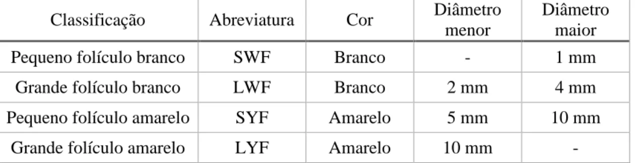 Figura 9: Representação dos folículos do ovário da galinha (Adaptado de: Slideshare). 