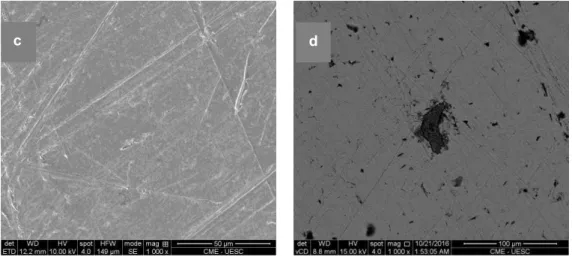 Figure 6: SEM images of ASTM 1020 carbon steel surface before (a) after 110 min immersion in 0.5 mol.L -1  HCl in the  absence (b) and in the presence o benzatriazole (c) and peel garlic extract (d)