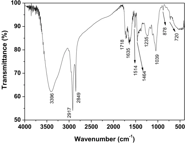 Figure 1: Infrared spectrum of the garlic peel extract. 