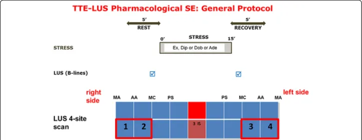 Fig. 2 The Stress-LUS general protocol. LUS for B-lines are assessed at baseline and at the end of stress, after the acquisition for RWMA