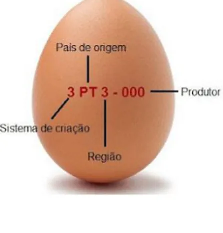 Figura  9  –  Código  inscrito  na  casca  do  ovo  (Fonte:  http://pt.engormix.com/MA  avicultura/administracao/artigos/pros-contras-proibicao-criacao-t1352/124-p0.htm) 