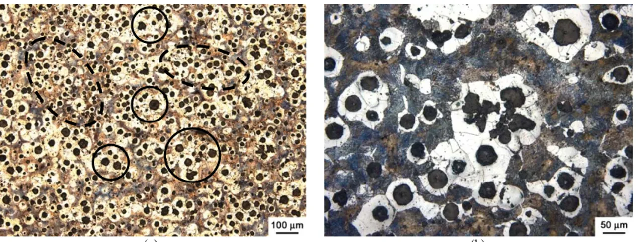 Figure  1  shows  optical  micrographs  of  the  as-cast  ductile  iron  alloy.  The  microstructure  was  composed  of  14%  graphite,  52%  ferrite  and  34%  perlite