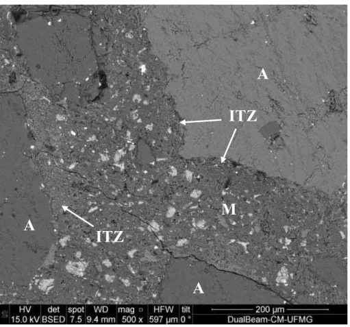 Figure 5: BSE micrograph of the reference concrete (x500 magnification)  –  area 1. 