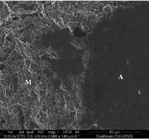 Figure 10:  SE micrograph of the concrete containing stabilized nano-silica (x2000 magnification)