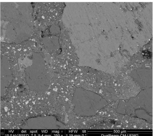 Figure 3:  BSE micrograph of the reference concrete (x250 magnification)  –  area 1. 
