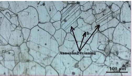 Figure 1 shows the microstructure of the untreated commercial Inconel 625 alloy. 