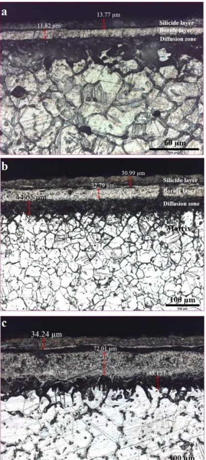 Figure 2: Optical micrographs of the samples borided at 800 °C (a) 900 °C (b) 1000 °C  and (c) for 4 h