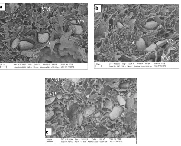 Figura 5: Micrografia dos compósitos PEAD/concha a) 95:5; b) 90:10 e c) 80:20. 