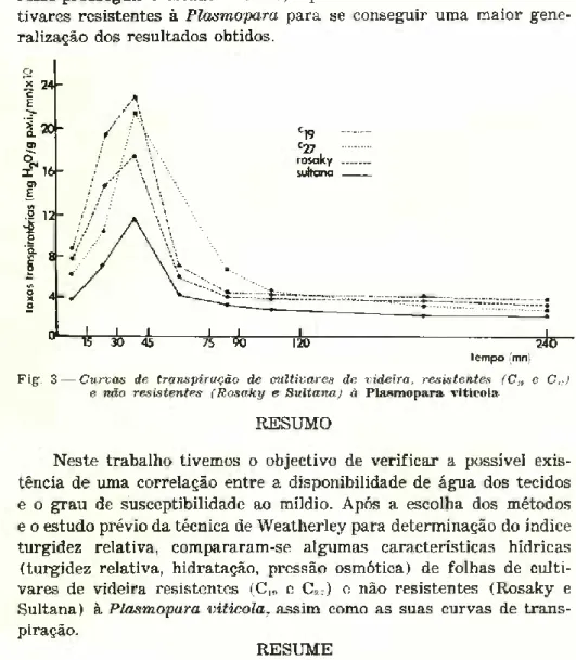 Fig. 3 — Curvas de transpiração de cultivares de videira, resistentes (C„ e C„)  e não resistentes (Rosdky e Sultana) à Plasmopara vitícola