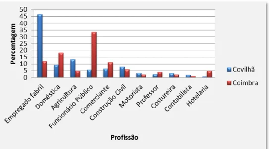 Gráfico 19. Caraterização da amostra total em função do local e da profissão