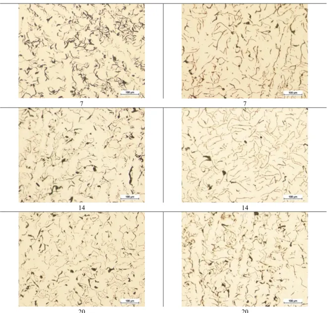 Figure 1: Representative micrographs of unetched grey iron samples. 