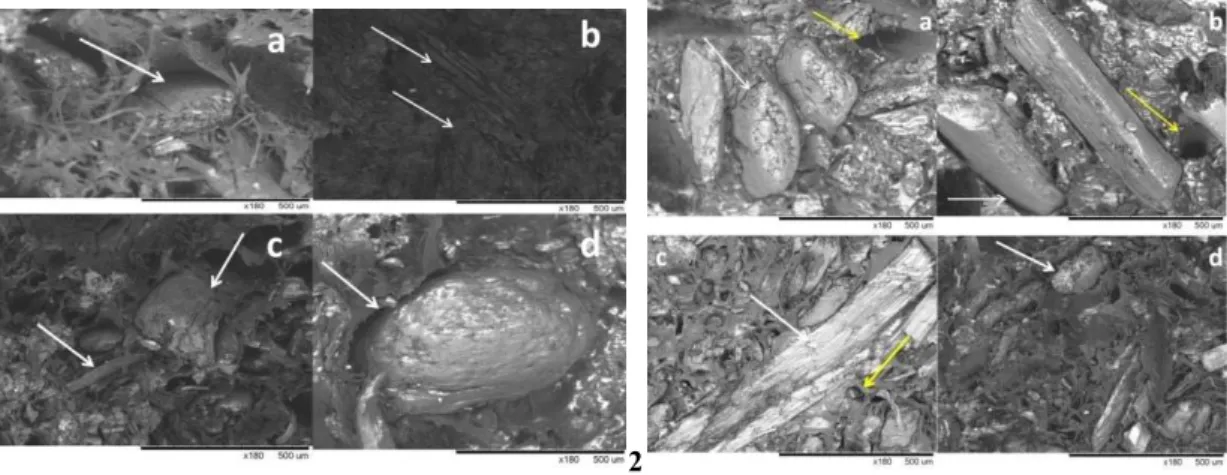 Figure 3: SEM surface composites with fibers at 180x magnification rates: 1 - (a) PP + WF, (b) PP + (CA) + WF, (c) PP  + SC and (d) PP + CC; and, 2 - (a) PP + BB, (b) PP + BS, (c) PP + (CA) + BS and (d) PP + KF