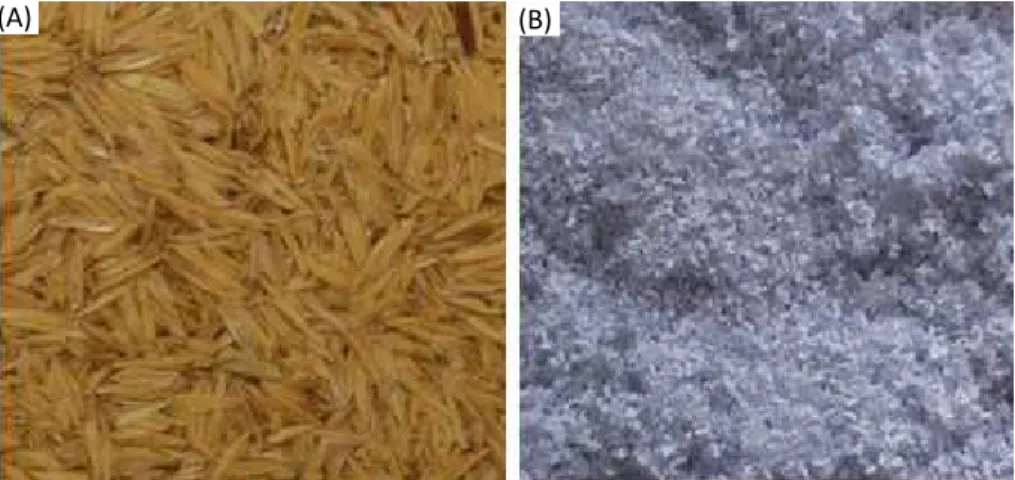 Figure 1: Fillers of composites: A) Rice hulls and B) Scrap paper . 2.2 Composite preparation 