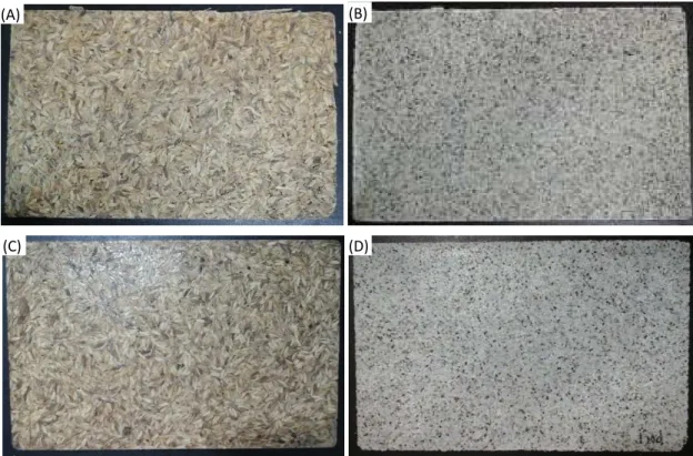 Figure 2: Composites: A) PU/RH, B) PU/SP, C) P/RH and D) P/SP . 