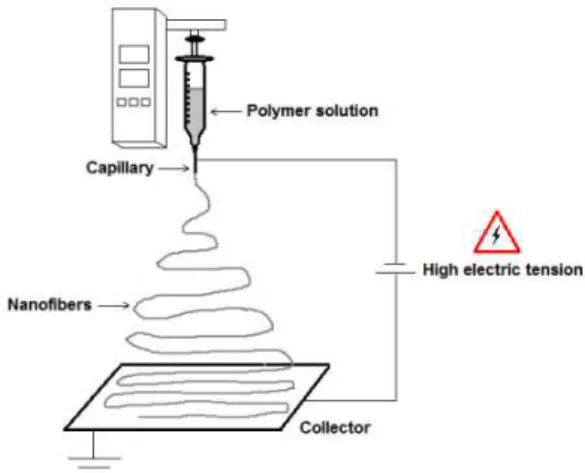Figure 1: Schematic diagram of the electrospinning process. 