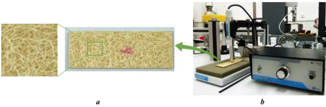 Figure 2: a) Luffa fiber/epoxy composite specimen (80×25×3 mm 3 ). b) Automatic electromagnetic pulser developed by  ATCP by impulse excitation method