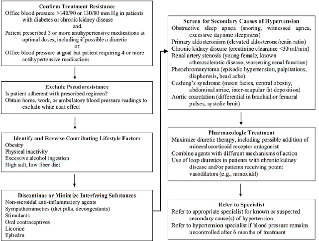 Figura 1.2 - Hipertensão arterial resistente: recomendações de diagnóstico e tratamento