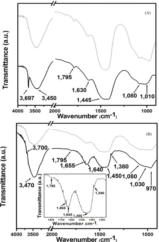 Figure  2:  FTIR  spectra  of  slurry-standard  (A)  and  slurry-pol  (B).  The  insert  figure  in  (B)  is  a  magnified  view  of  the  bands about 1870 and 1260 cm -1 