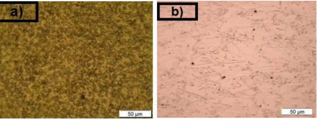 Figura 6: Micrografias óticas das ligas de: a) titânio; b) aço inoxidável ambas em escala de aumento de 200x